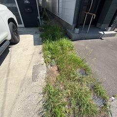 草むしりと防草シート