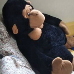 大きなゴリラの画像