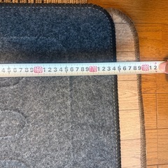 ホットカーペットの画像