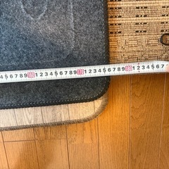 ホットカーペットの画像