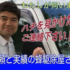 【緊急対応可】スズメバチ・アシナガバチの巣を安全に駆除します｜夷...