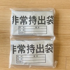 非常用持出袋　シルバー　2点セット
の画像