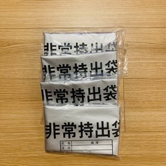 非常用持出袋　シルバー　2点セット
の画像