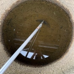 おたまじゃくし