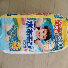 水あそびパンツ　BIG　10枚の画像