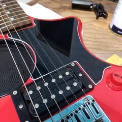 フェルナンデス、Zo-3ピックガード！の画像