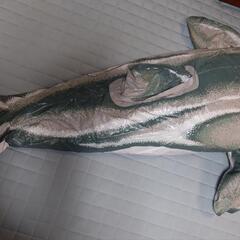 イルカの大型浮き輪の画像