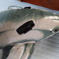 イルカの大型浮き輪の画像