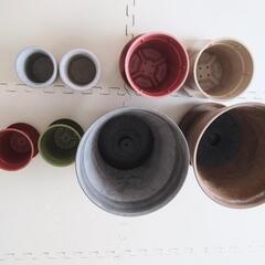 植物のプランター、鉢の画像