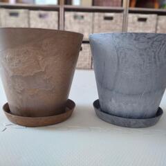植物のプランター、鉢の画像