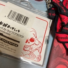 水曜日どうでしょうグッズ、TEAM NACSパンフレットの画像