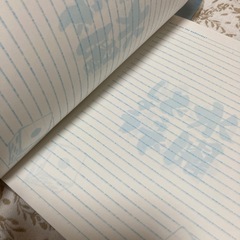 水曜日どうでしょうグッズ、TEAM NACSパンフレットの画像