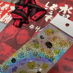 水曜日どうでしょうグッズ、TEAM NACSパンフレットの画像