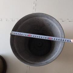 植物のプランター、鉢の画像