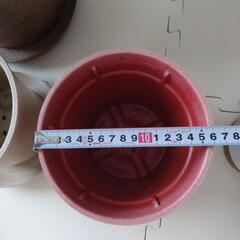 植物のプランター、鉢の画像