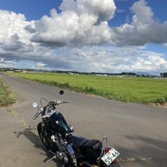 スティード400の画像