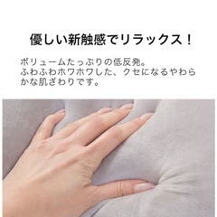 ニトリ ホワホワクッション2個の画像