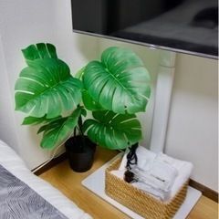 !!!急募!!! 7/8(火)豊島区南大塚で清掃対応可能な方！の画像