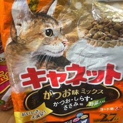 キャットベッドandキャットフードの画像