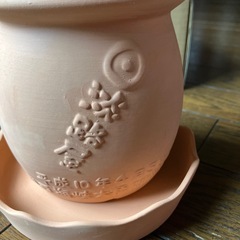 ひっぱりだこ飯テラコッタ植木鉢3〜4号の画像