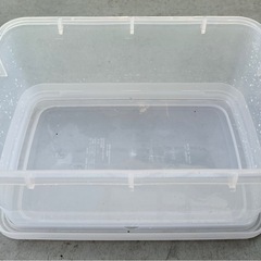 デュピア　爬虫類　レオパ　 ヒョウモントカゲモドキ　トカゲ  餌　飼育ケース一式の画像