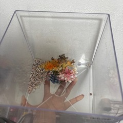 テトラ　正方形　ミニ水槽の画像