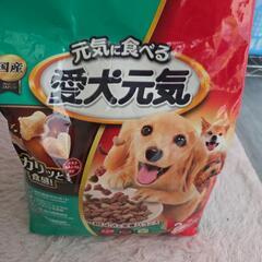 ドックフードの画像