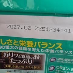 ドックフードの画像