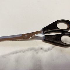 STAINLESS STEEL スキバサミの画像