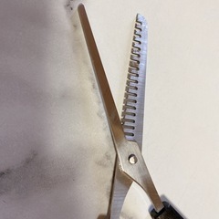 STAINLESS STEEL スキバサミの画像
