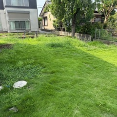 【依頼】除草作業（2000円）