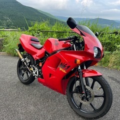 NS-1 ノーマルフルレストアからのボアアップ65cc実働車の画像