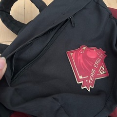 楽天イーグルス リュック その他応援グッズまとめての画像