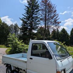 軽トラダンプ4WD47500キロの画像