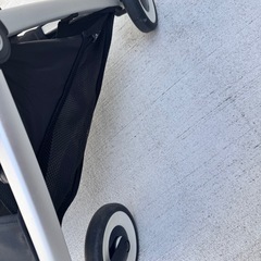 サイベックスオルフェオの画像