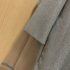 ラメシアートップスの画像