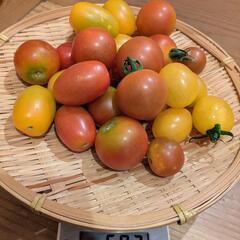 夏野菜セットの画像