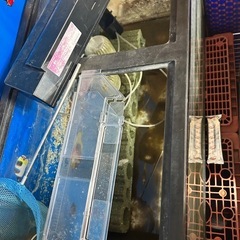 90センチ水槽の画像