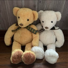 テディベアの画像