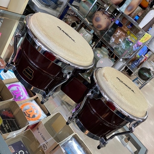 MEINL BONGO ボンゴ