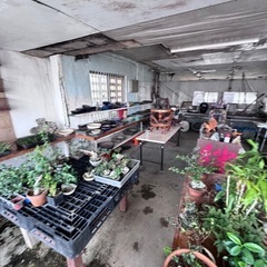 盆栽雑貨の画像