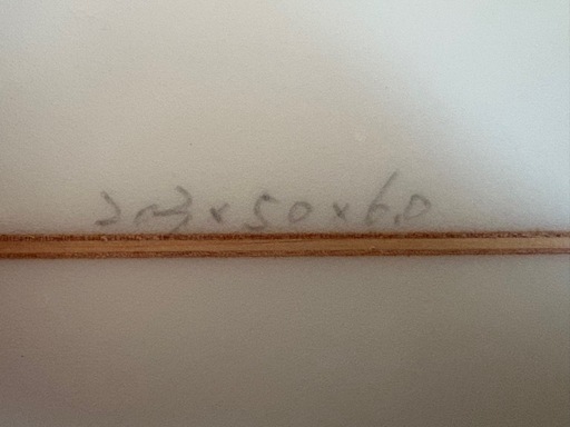 カバー付き　サーフボード