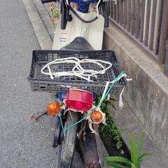 ヤマハメイトYAMAHA Mate エンジンの稼働の不動車の画像