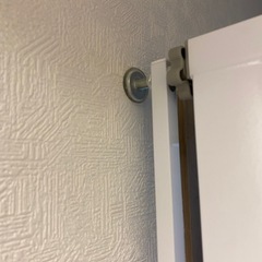 ペット脱走防止　脱走防止ゲート　脱走防止扉　脱走防止柵　玄関の画像