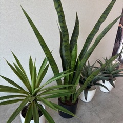 フェイク観葉植物セット　⑧の画像