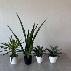 フェイク観葉植物セット　⑧の画像