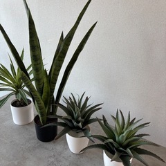 フェイク観葉植物セット　⑧の画像