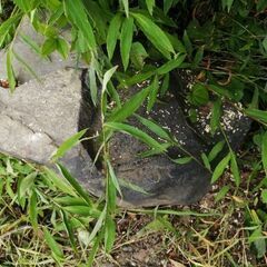 石もらって下さる方に1000円お支払します。の画像
