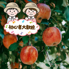 ＼日払い・1日OK！／手厚いレクチャー！りんごの実すぐり＆園地作業