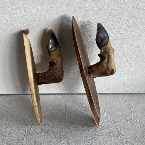 鹿の剥製 壁掛け しかの足2点セットn